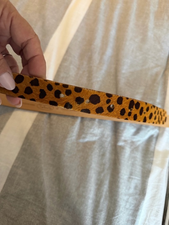 Talbots Leopard-Print Belt with Gold Buckle